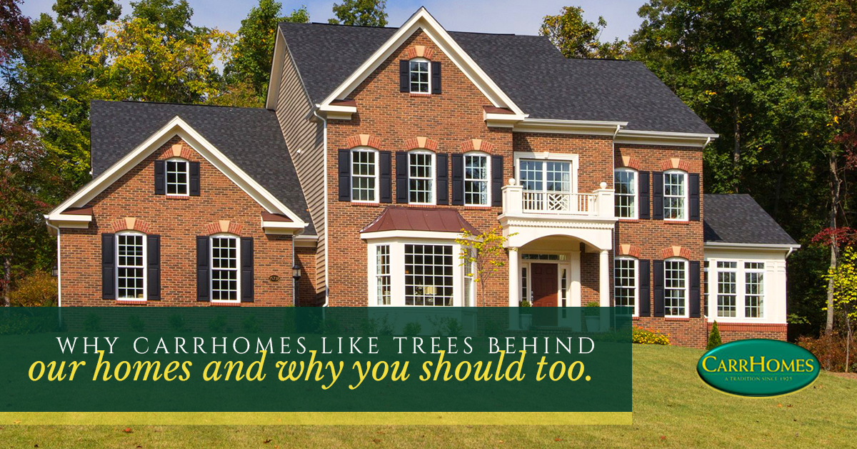 Luxury Homes For Sale In Fairfax & Loudoun County